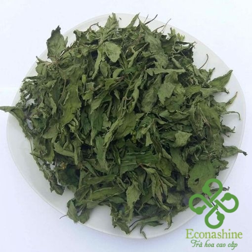 Trà Cỏ Ngọt Econashine 25g - Ảnh 3