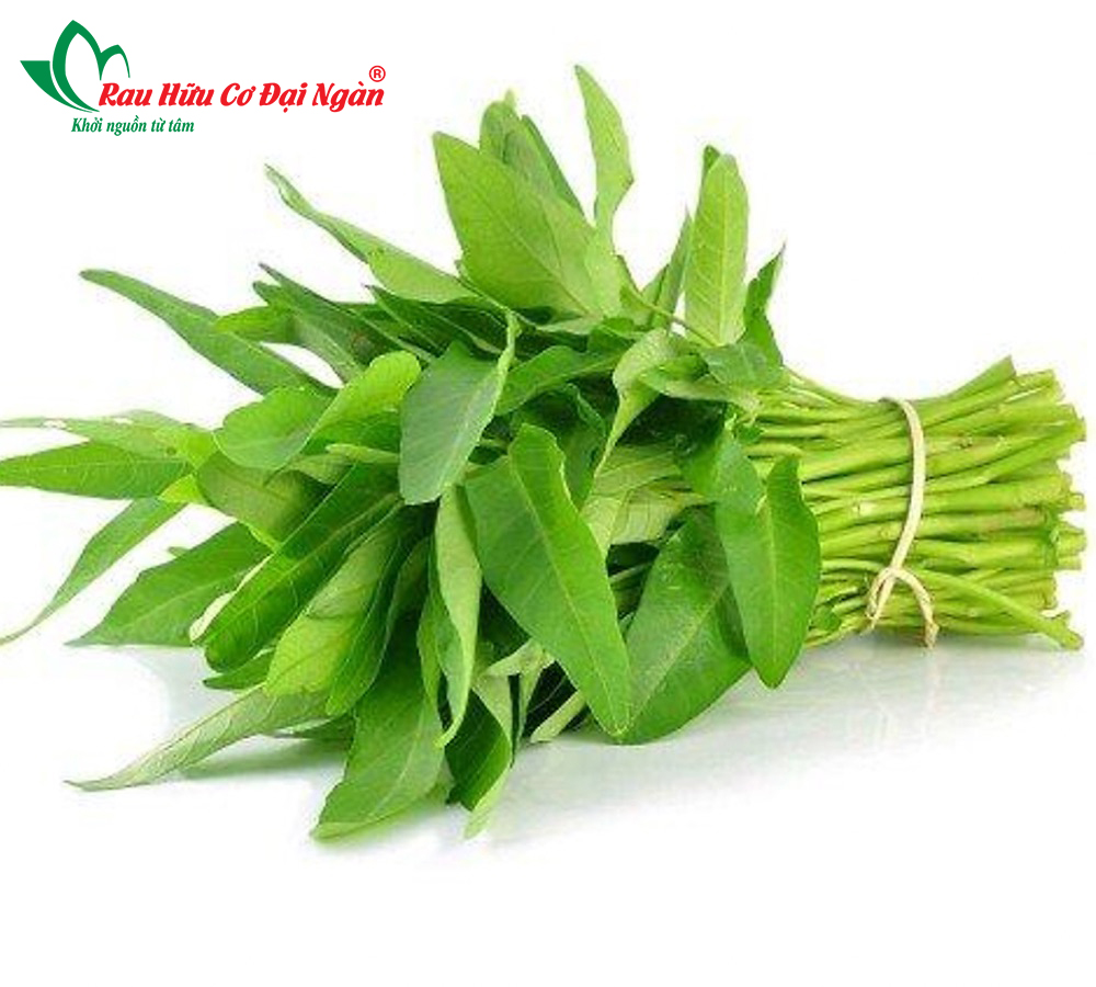 Rau Muống Hữu Cơ Đại Ngàn