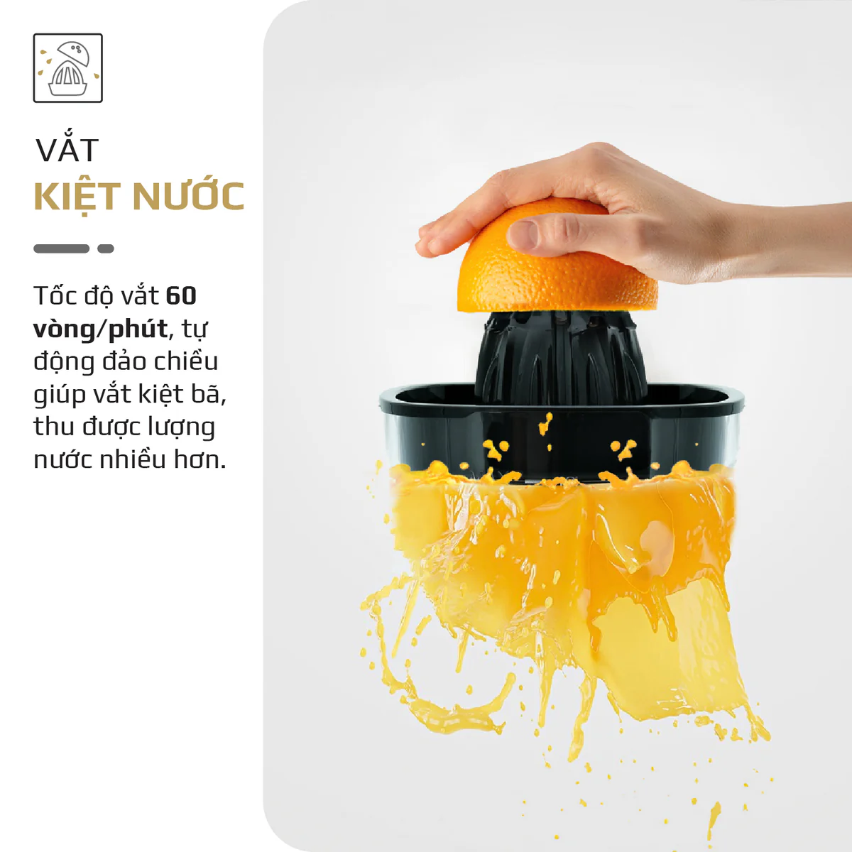 Máy Vắt Cam OLIVO CJ12 - Dung tích lớn 1.2L-40W, Vắt Kiệt Nước - Ảnh 6