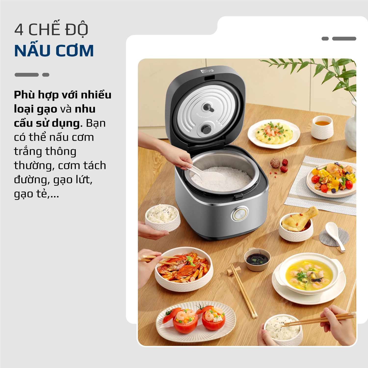 Nồi Cơm Điện OLIVO RC86 Titanium – Lòng Nồi INOX 304 Chống Dính Tự Nhiên - Ảnh 13