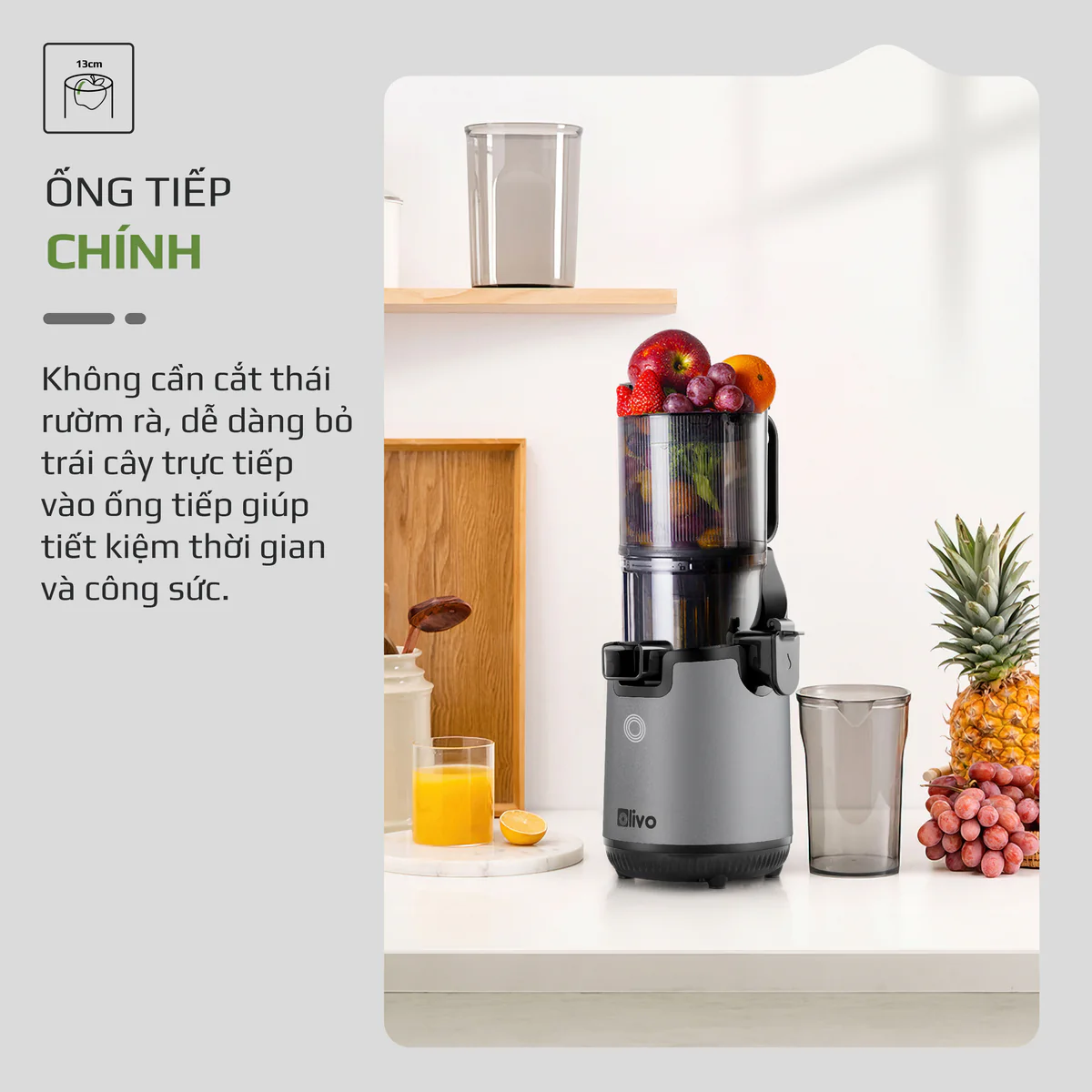 Máy Ép Chậm OLIVO SJ196 Titanium – Ép Trái Cây Nguyên Quả, Động Cơ AC Êm Ái, Cao Cấp - Ảnh 5