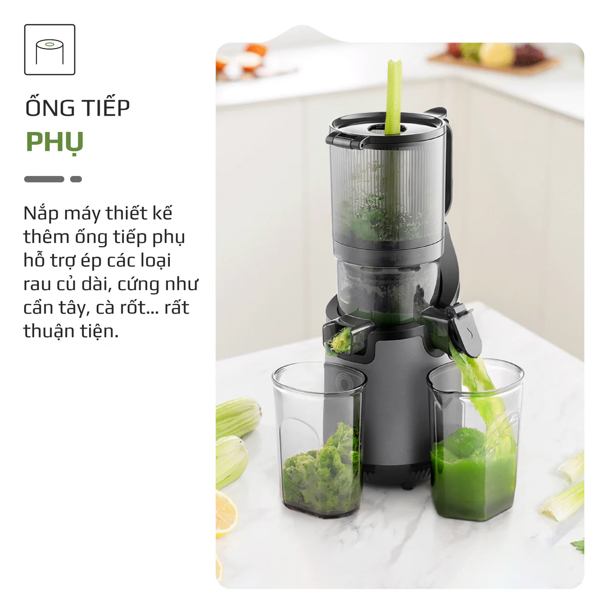 Máy Ép Chậm OLIVO SJ196 Titanium – Ép Trái Cây Nguyên Quả, Động Cơ AC Êm Ái, Cao Cấp - Ảnh 6