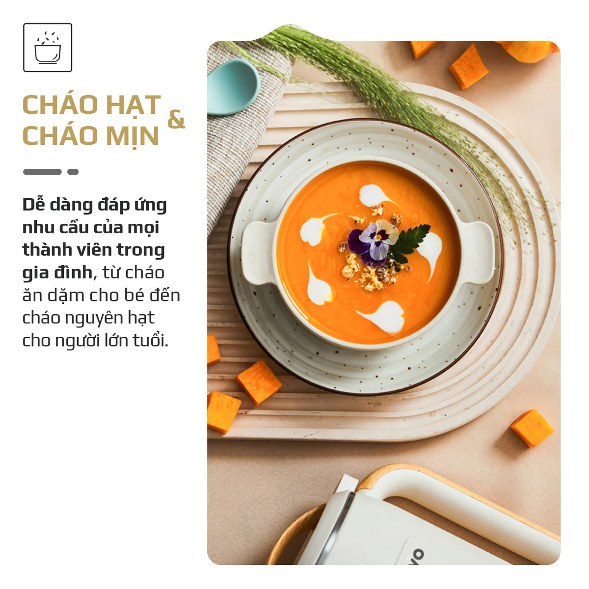 Máy Xay Nấu Đa Năng OLIVO CB400 PRO – Nhỏ Gọn Tiện Mang Theo, Đa Chức Năng, Thiết Kế Cao Cấp - Ảnh 8