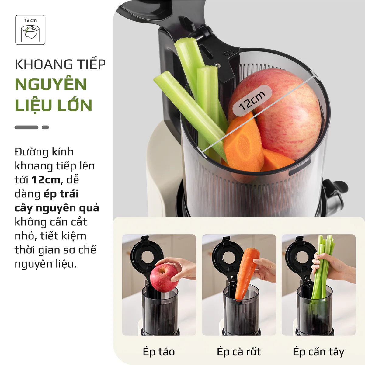 Máy Ép Chậm OLIVO SJ2000 – Khoang Tiếp Lớn, Củ Ép Lưỡi Cắt Thông Minh, Thiết Kế Sang Trọng - Ảnh 4