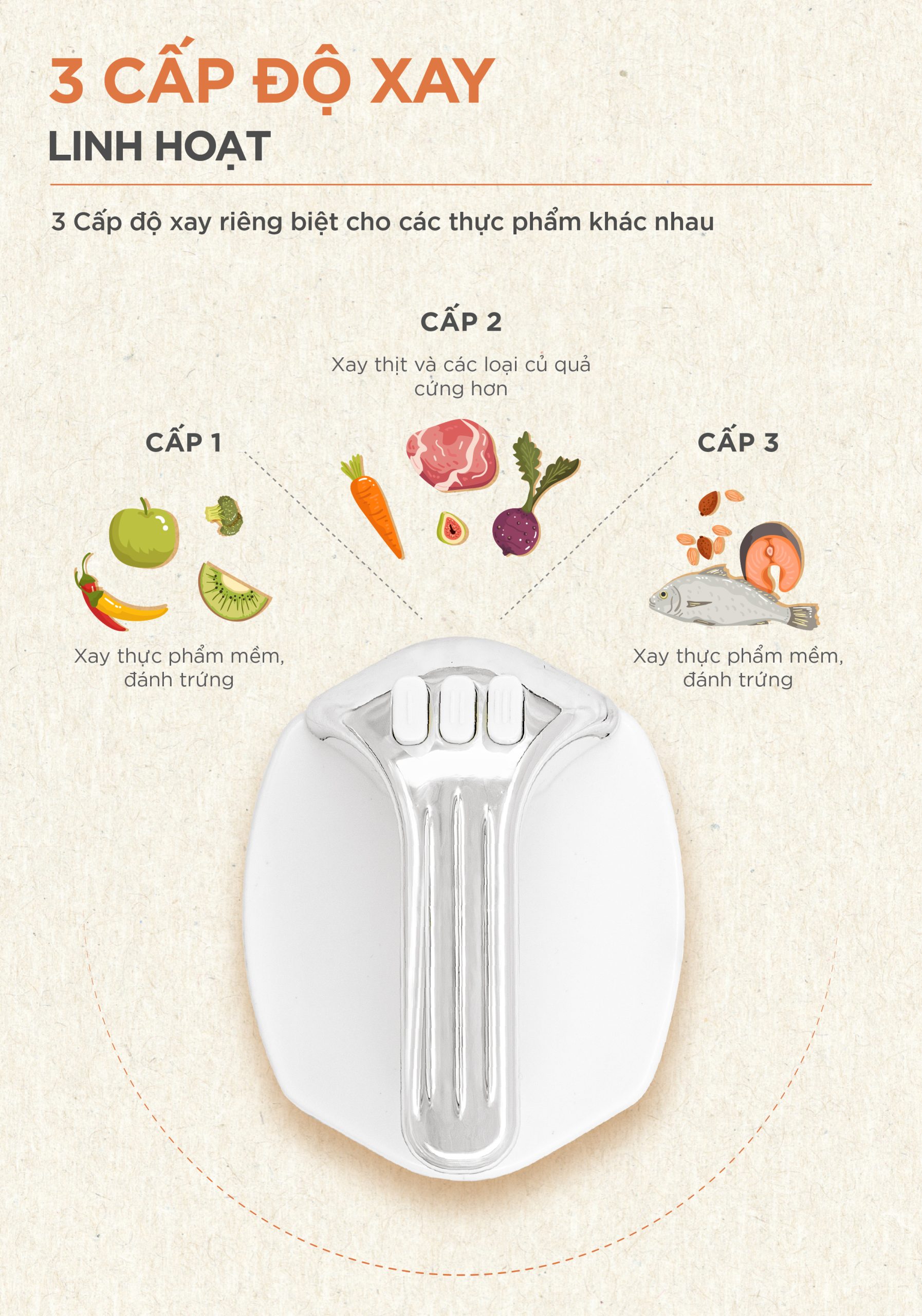 Máy Xay Thịt Đa Năng MORICO MM5001 | 2 Cối 2L & 3L, 2 Bộ Lưỡi Dao Inox, Xay Mịn Nhanh Chóng - Ảnh 6
