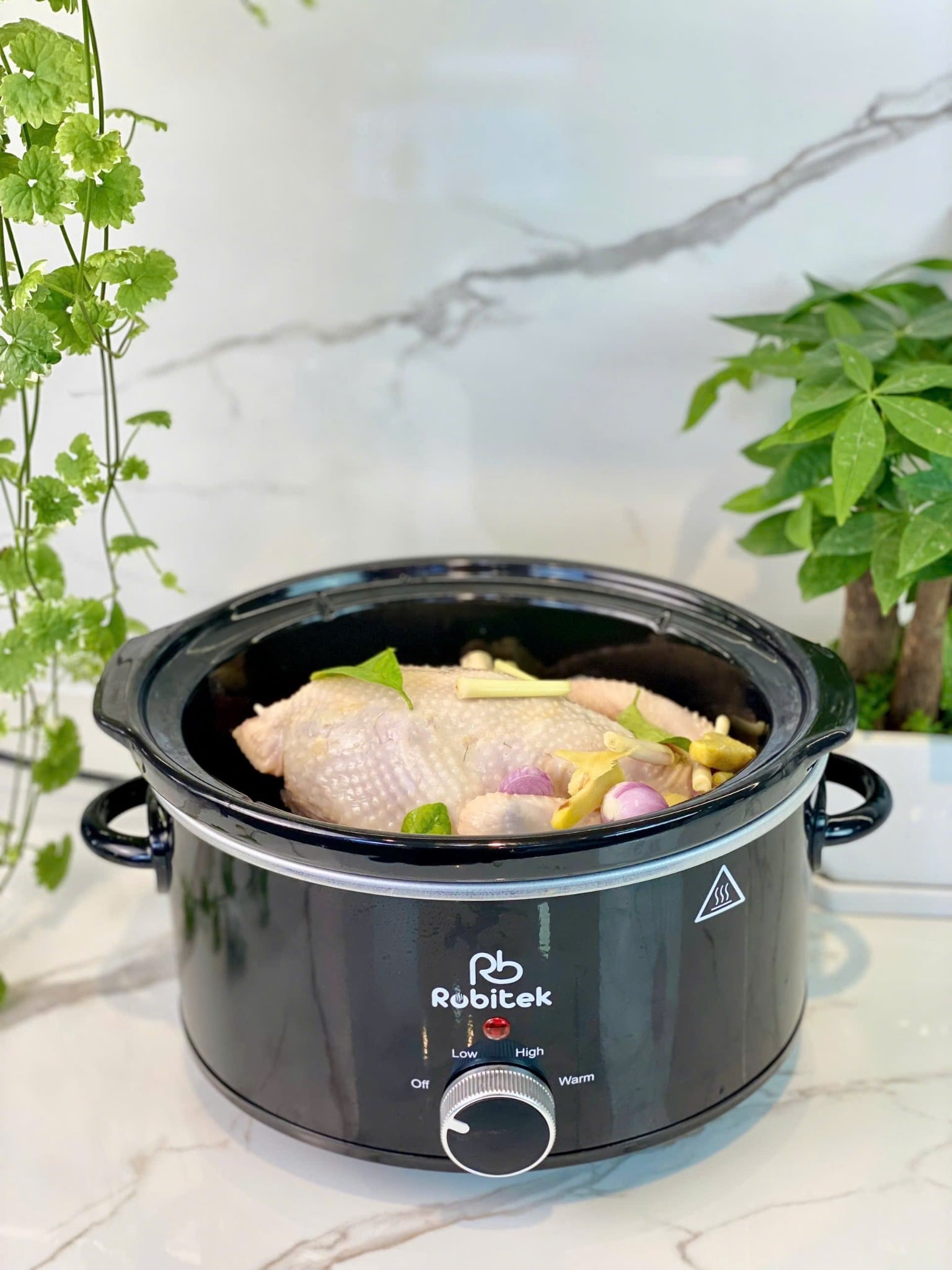 NỒI NẤU CHẬM ROBITEK RB3000 3L – Hầm Cháo Ninh Xương Cho Gia Đình - Ảnh 7