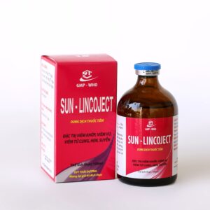 SUN-LINCOJECT