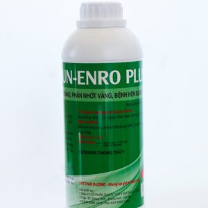 SUN – ENRO PLUS